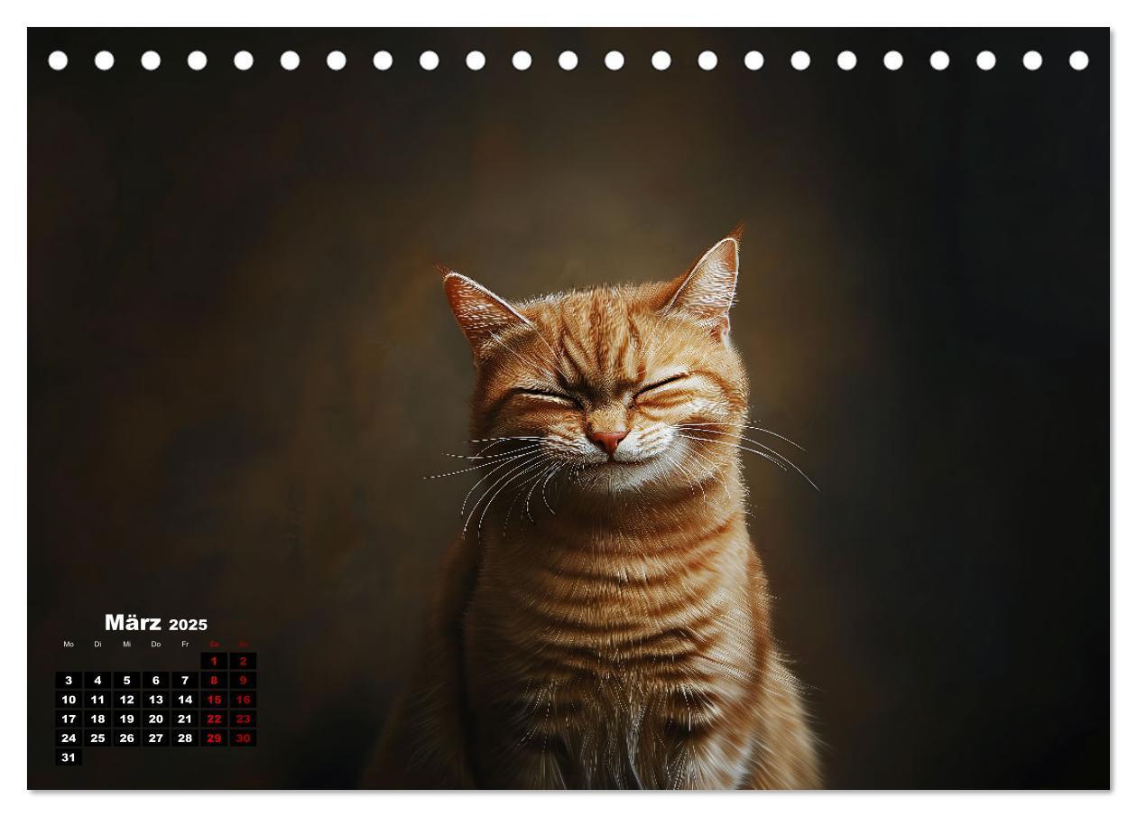 Bild: 9783457202074 | Auch Katzen lachen gern (Tischkalender 2025 DIN A5 quer), CALVENDO...