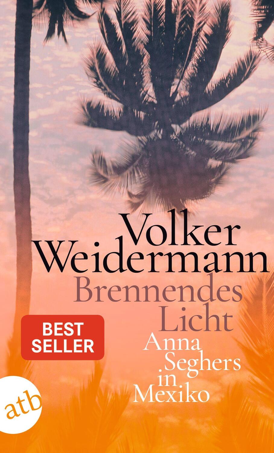 Cover: 9783746639116 | Brennendes Licht | Anna Seghers in Mexiko | Volker Weidermann | Buch