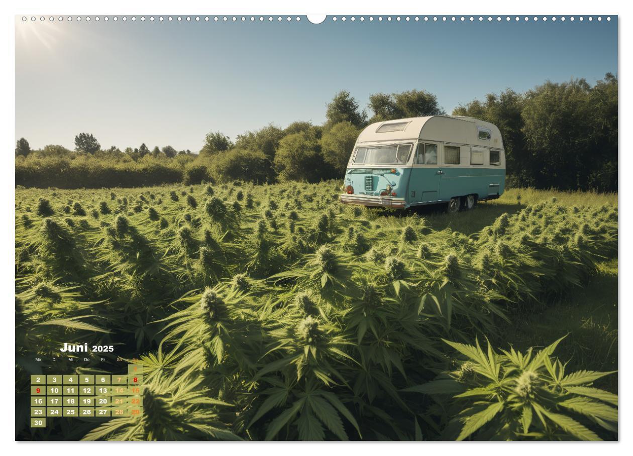 Bild: 9783383807190 | Wunderschöne Cannabisfelder (Wandkalender 2025 DIN A2 quer),...