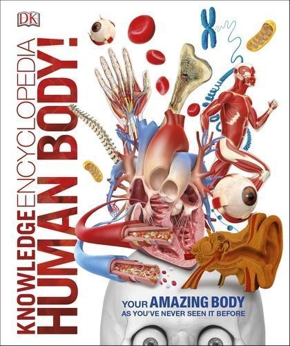 Cover: 9780241286852 | Knowledge Encyclopedia Human Body! | Buch | Englisch | 2017