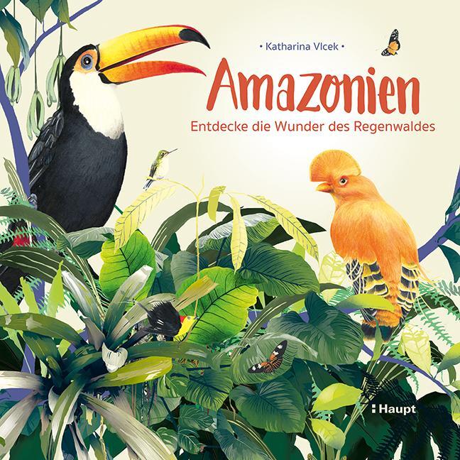 Cover: 9783258082264 | Amazonien | Entdecke die Wunder des Regenwaldes | Katharina Vlcek