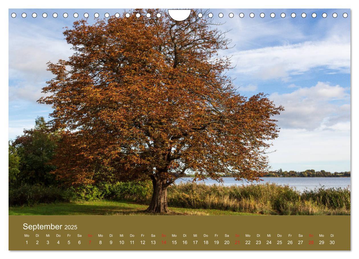 Bild: 9783435207121 | Mön, Impressionen einer dänischen Insel (Wandkalender 2025 DIN A4...