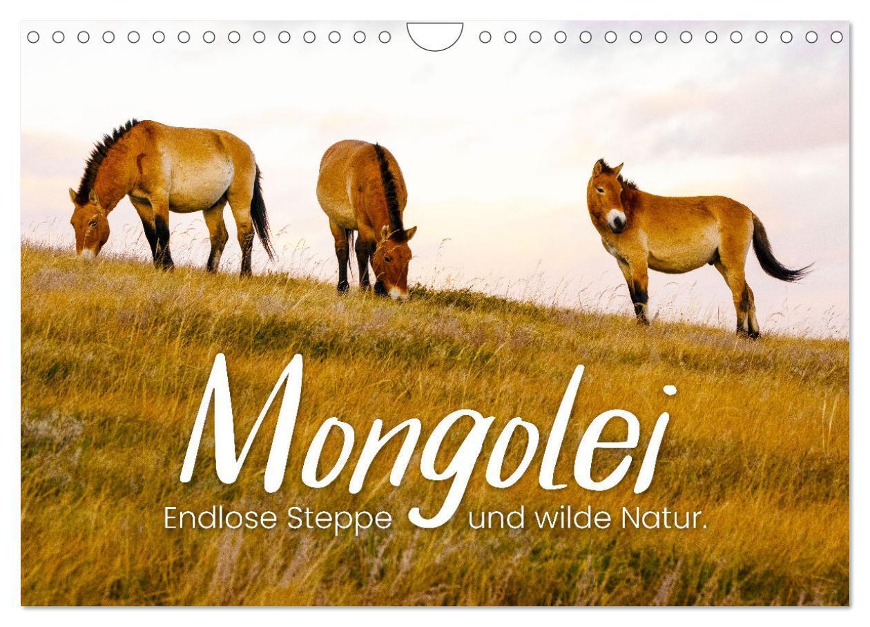 Cover: 9783675437562 | Mongolei - Endlose Steppe und wilde Natur. (Wandkalender 2024 DIN...