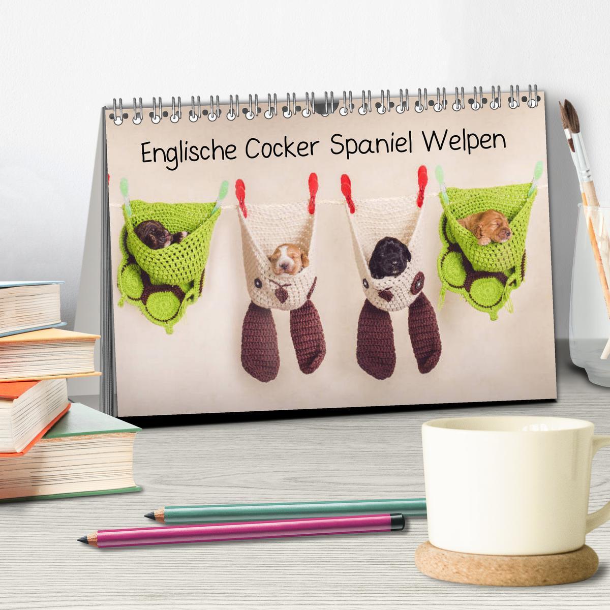 Bild: 9783435328925 | Englische Cocker Spaniel Welpen (Tischkalender 2025 DIN A5 quer),...