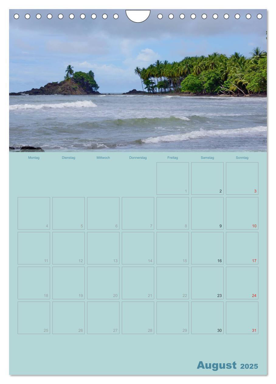 Bild: 9783457049600 | Karibik - Sonne, Strand und Palmen (Wandkalender 2025 DIN A4 hoch),...