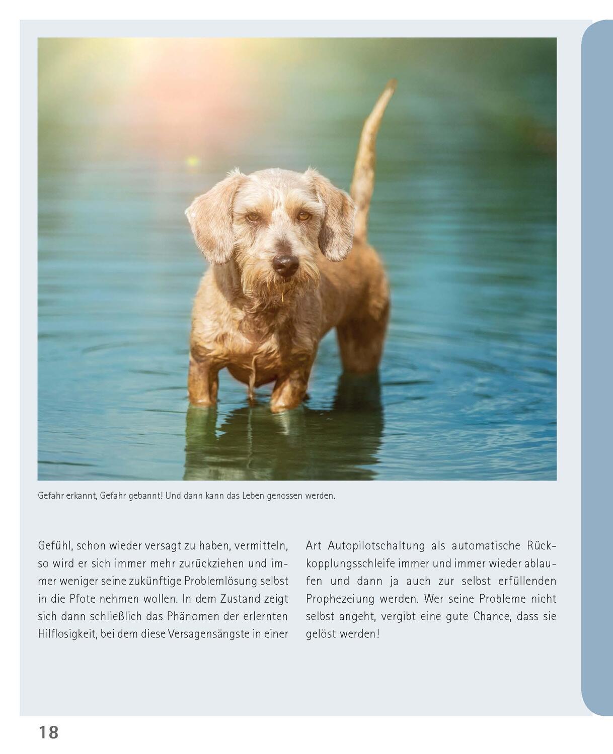 Bild: 9783275023097 | Mein Hund hat Angst | Petra Krivy (u. a.) | Taschenbuch | 160 S.