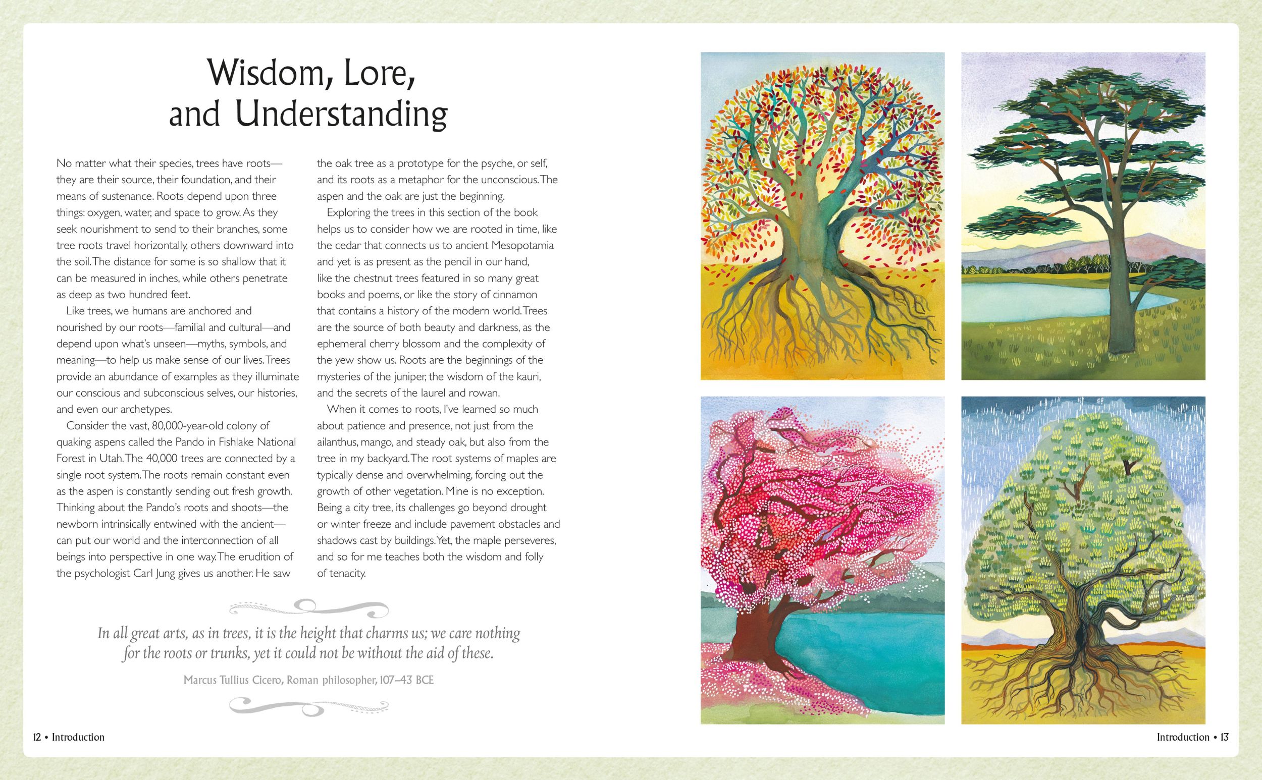 Bild: 9781800652637 | Tree Wisdom | A Journey of Wisdom, Symbols, Healing, and Renewal