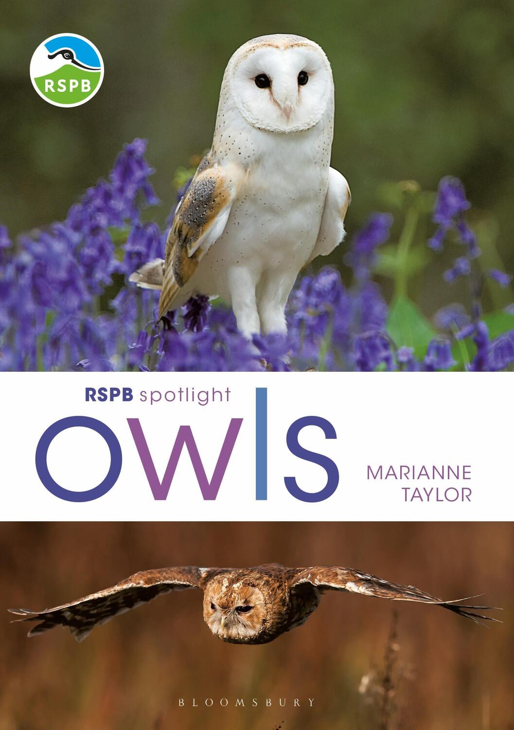 Cover: 9781472980281 | RSPB Spotlight Owls | Marianne Taylor | Taschenbuch | RSPB | Englisch