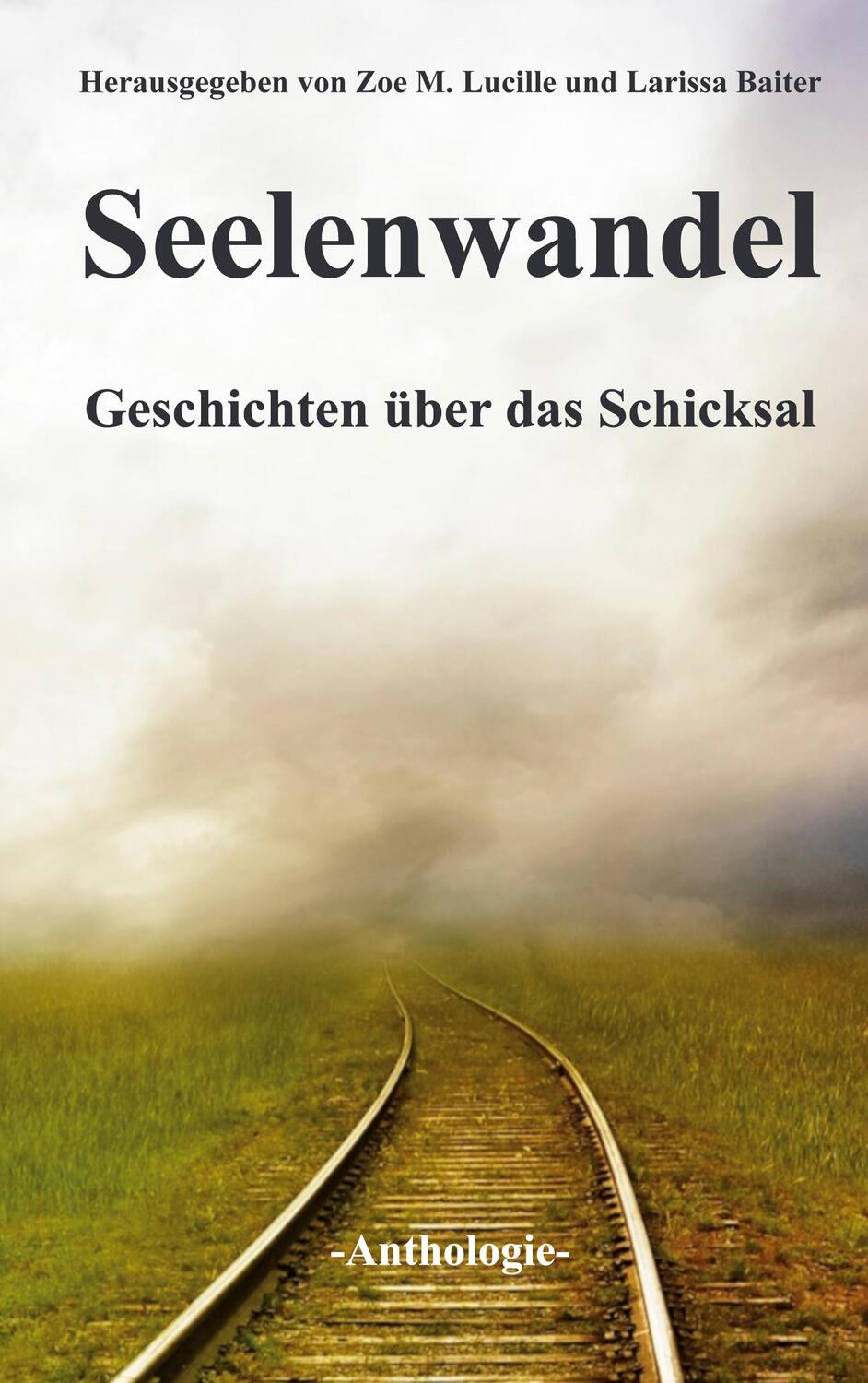 Cover: 9783748156710 | Seelenwandel | Geschichten über das Schicksal | Larissa Baiter (u. a.)