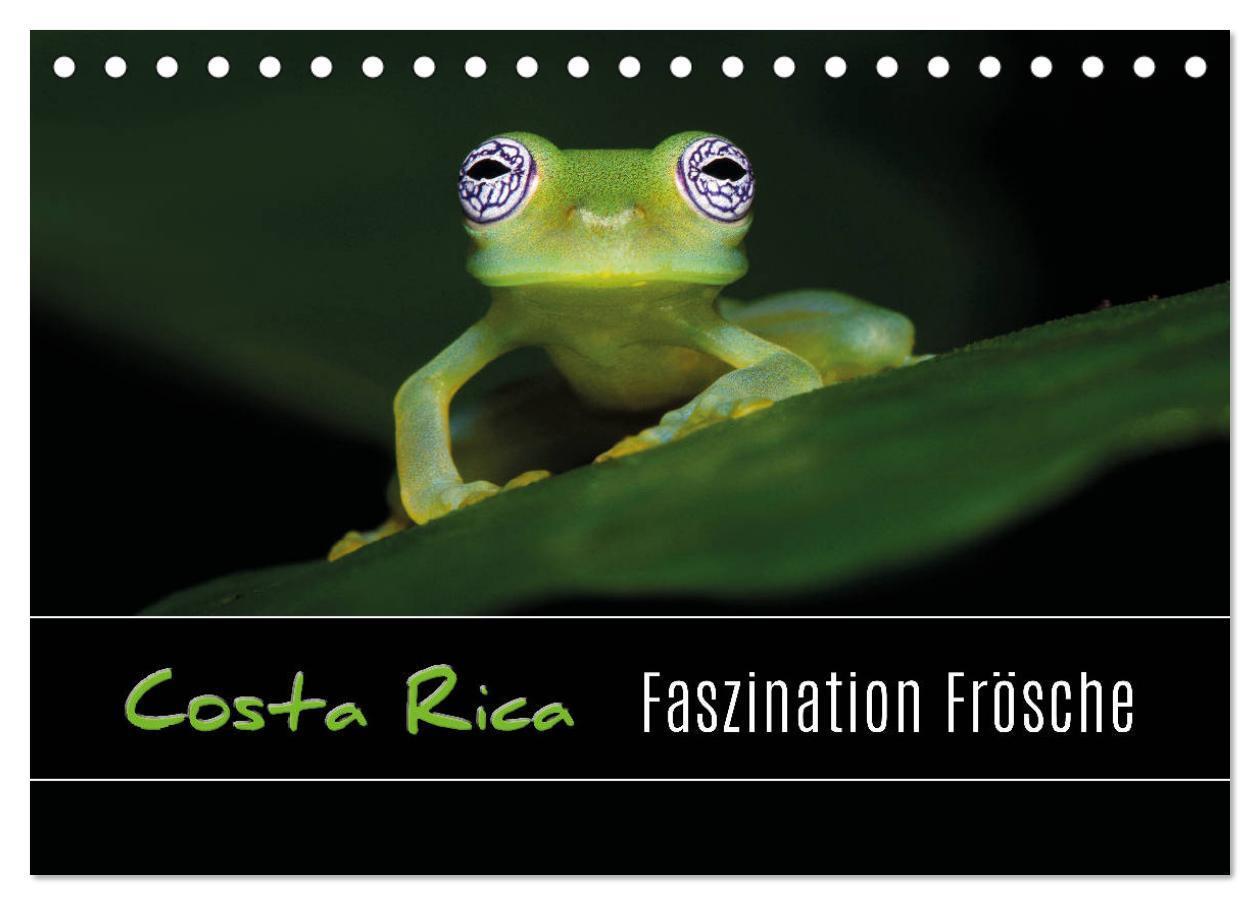 Cover: 9783435490240 | Costa Rica - Faszination Frösche (Tischkalender 2025 DIN A5 quer),...