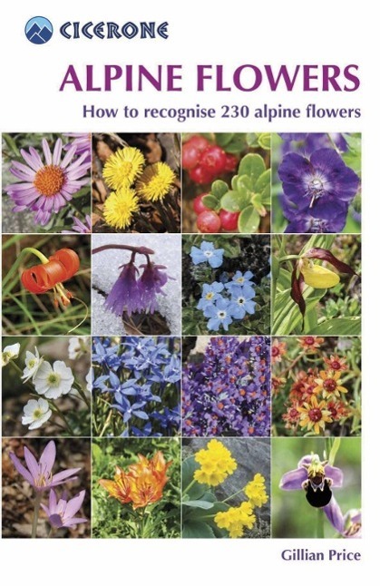Cover: 9781852845650 | Alpine Flowers | How to recognise 230 alpine flowers | Gillian Price