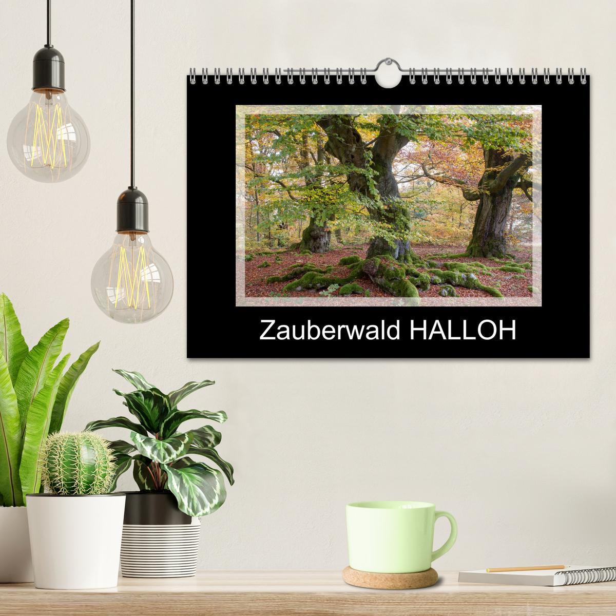 Bild: 9783435537822 | Zauberwald HALLOH (Wandkalender 2025 DIN A4 quer), CALVENDO...