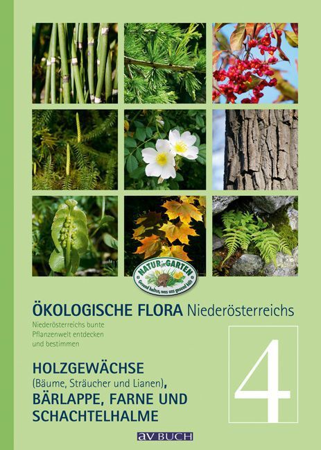 Cover: 9783840475269 | Ökologische Flora Niederösterreichs. Bd.4 | Wolfgang Holzner (u. a.)
