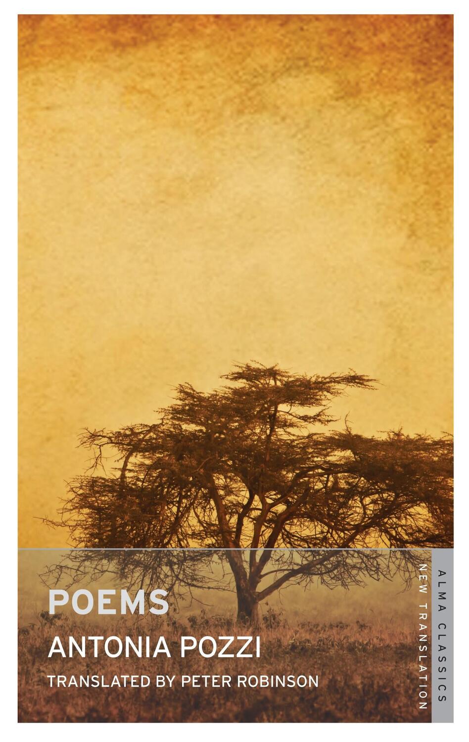 Cover: 9781847494702 | Poems | Antonia Pozzi | Taschenbuch | Kartoniert / Broschiert | 2015