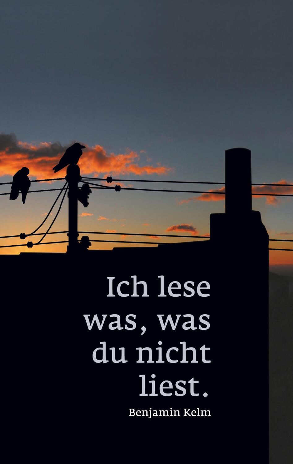 Cover: 9783750421011 | Ich lese was, was du nicht liest. | Benjamin Kelm | Taschenbuch