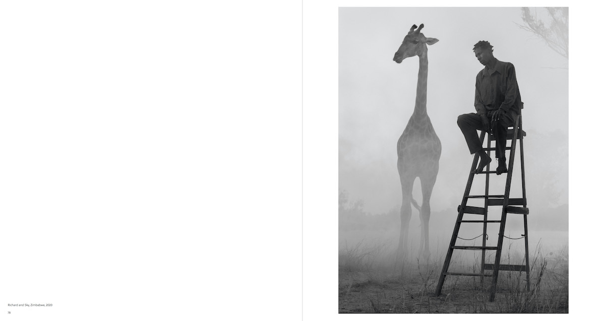 Bild: 9783775750899 | Nick Brandt | The Day May Break | Nadine Barth | Buch | 168 S. | 2021