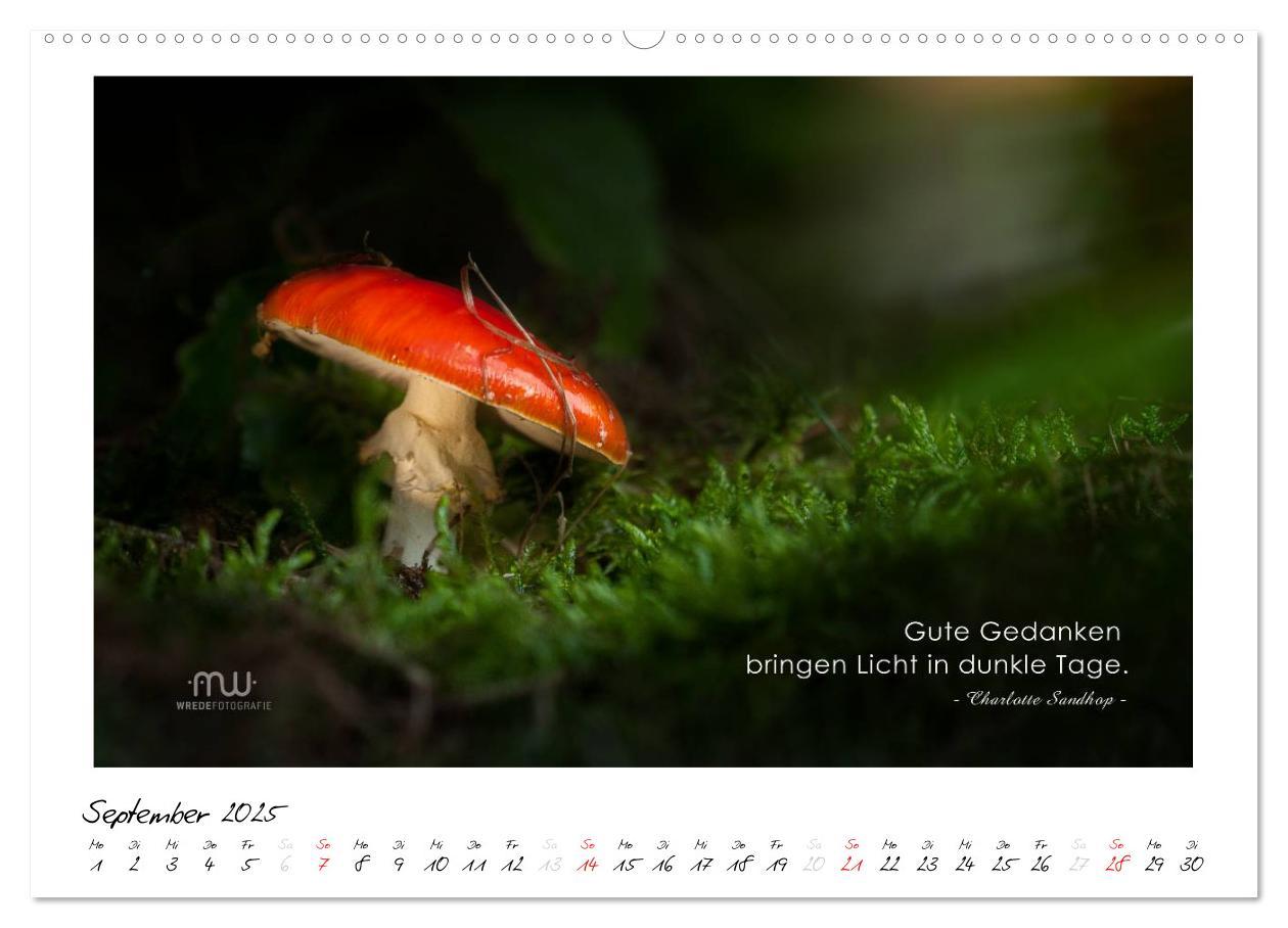 Bild: 9783435657629 | Gedanken... Bildkalender mit Sprüchen (Wandkalender 2025 DIN A2...