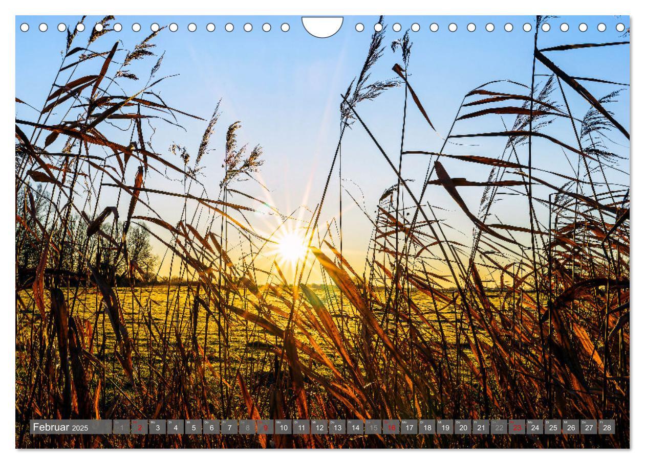 Bild: 9783383777813 | Moin Moormerland (Wandkalender 2025 DIN A4 quer), CALVENDO...