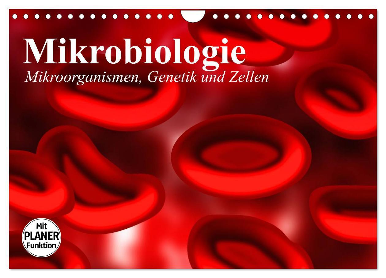 Cover: 9783435483808 | Mikrobiologie. Mikroorganismen, Genetik und Zellen (Wandkalender...