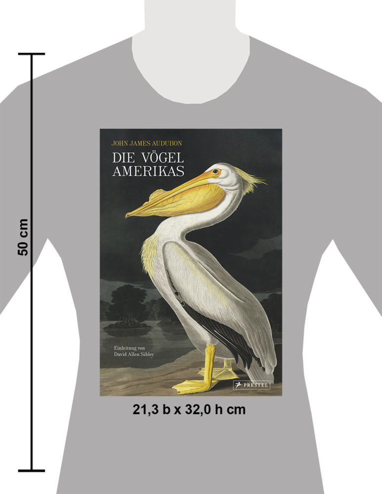 Bild: 9783791379135 | Die Vögel Amerikas | John James Audubon (u. a.) | Buch | 448 S. | 2021