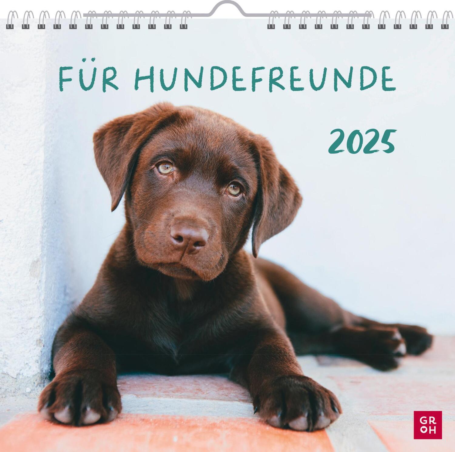 Cover: 4036442011867 | Wandkalender 2025: Für Hundefreunde | Groh Verlag | Kalender | 12 S.