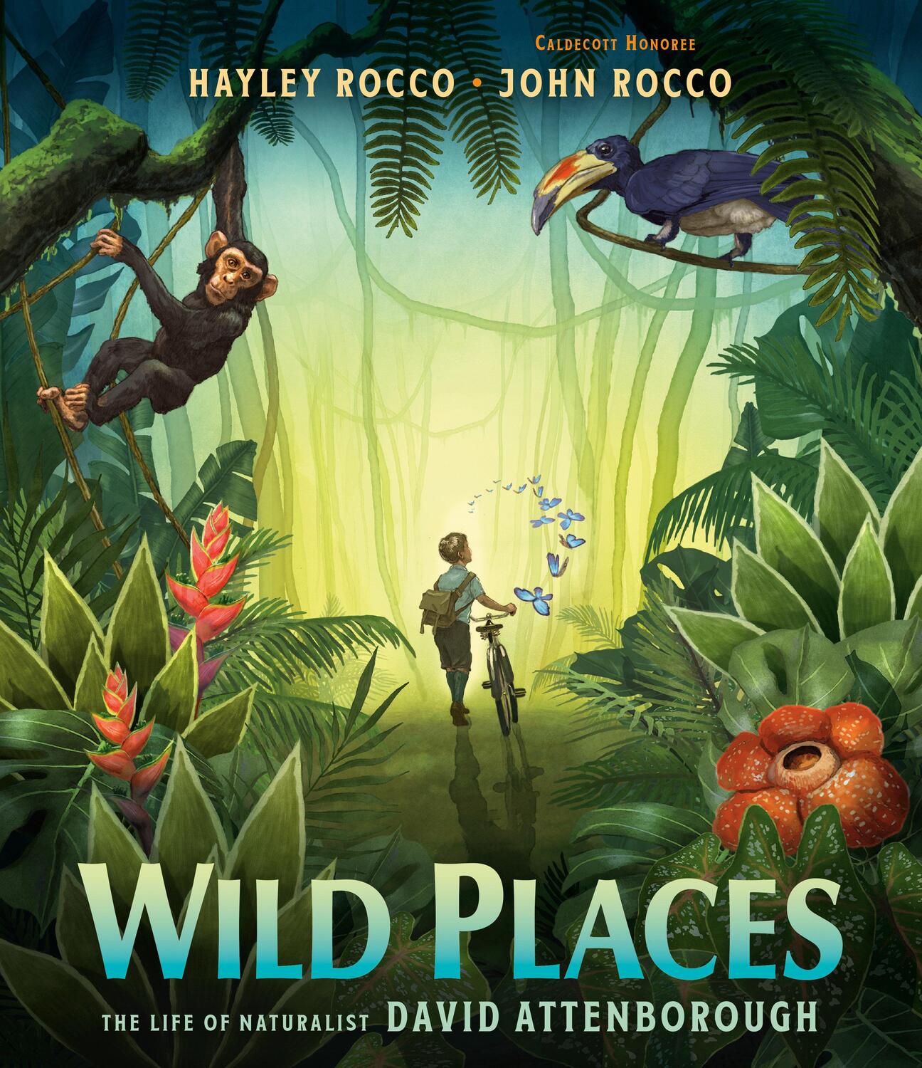 Cover: 9780593618097 | Wild Places | The Life of Naturalist David Attenborough | Hayley Rocco