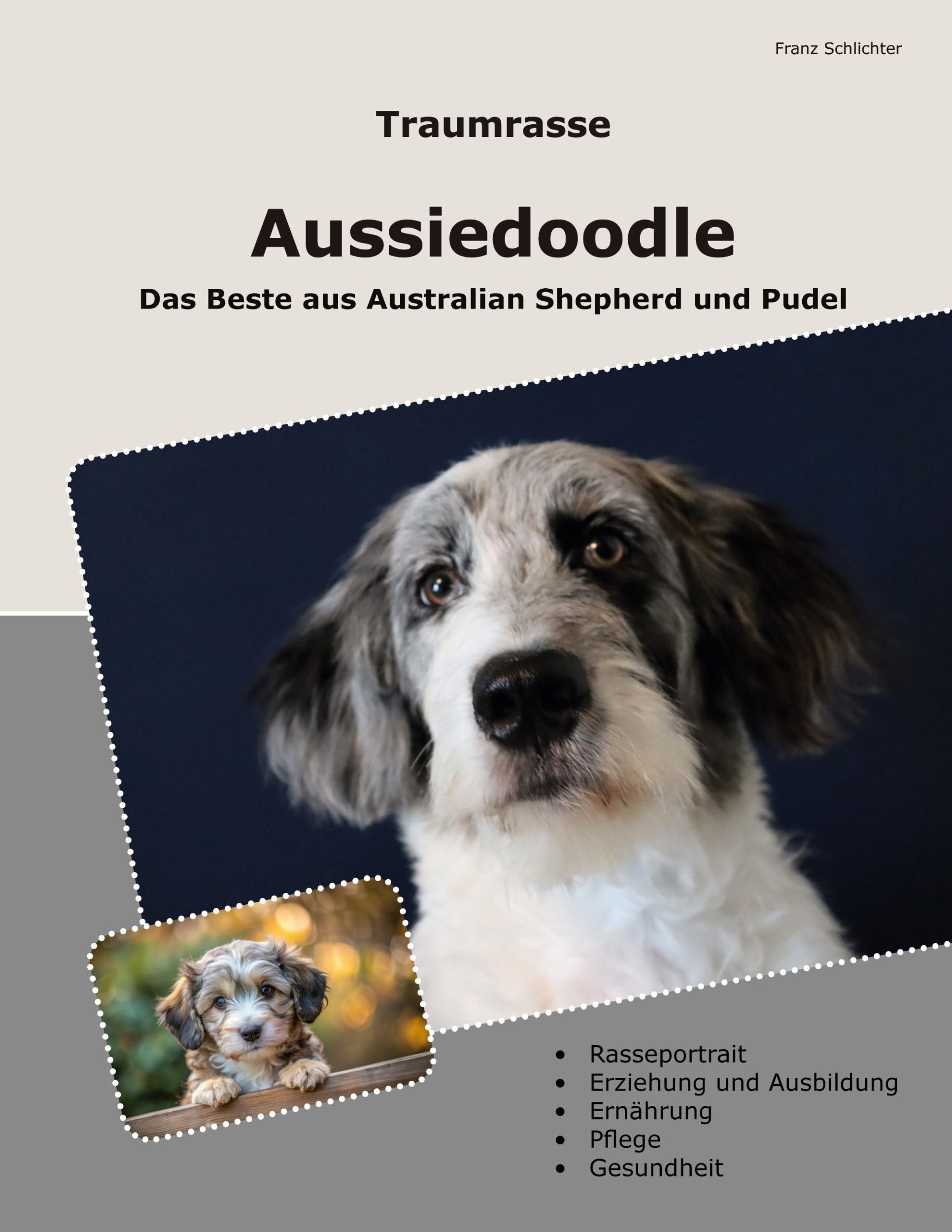 Cover: 9783759785640 | Traumrasse Aussiedoodle | Das Beste aus Australian Shepherd und Pudel