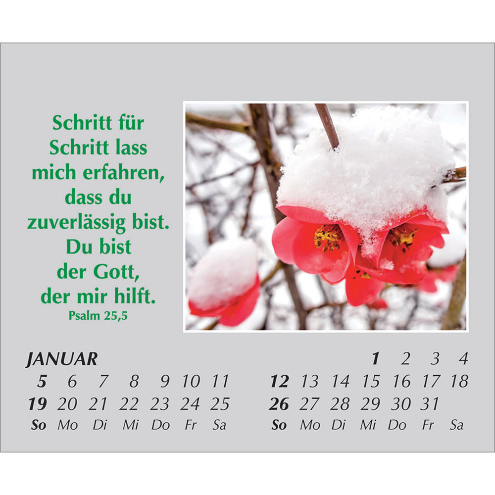 Bild: 9783754861059 | Freude für jeden Tag 2025 | Kalender | Spiralbindung. Spiralbindung