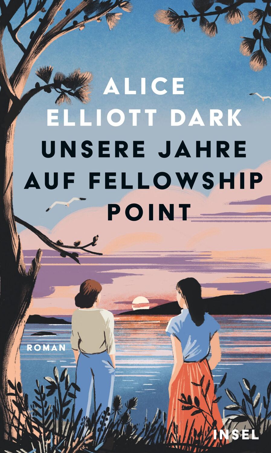 Cover: 9783458644149 | Unsere Jahre auf Fellowship Point | Alice Elliott Dark | Buch | 733 S.