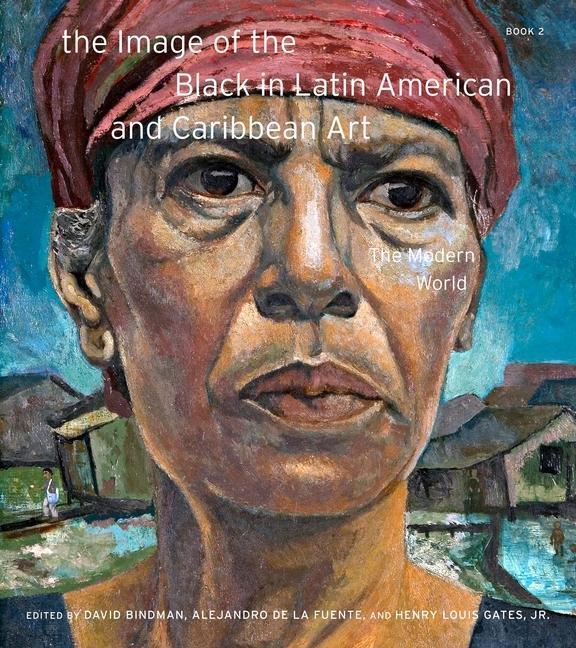 Cover: 9780674248878 | The Image of the Black in Latin American and Caribbean Art | Buch