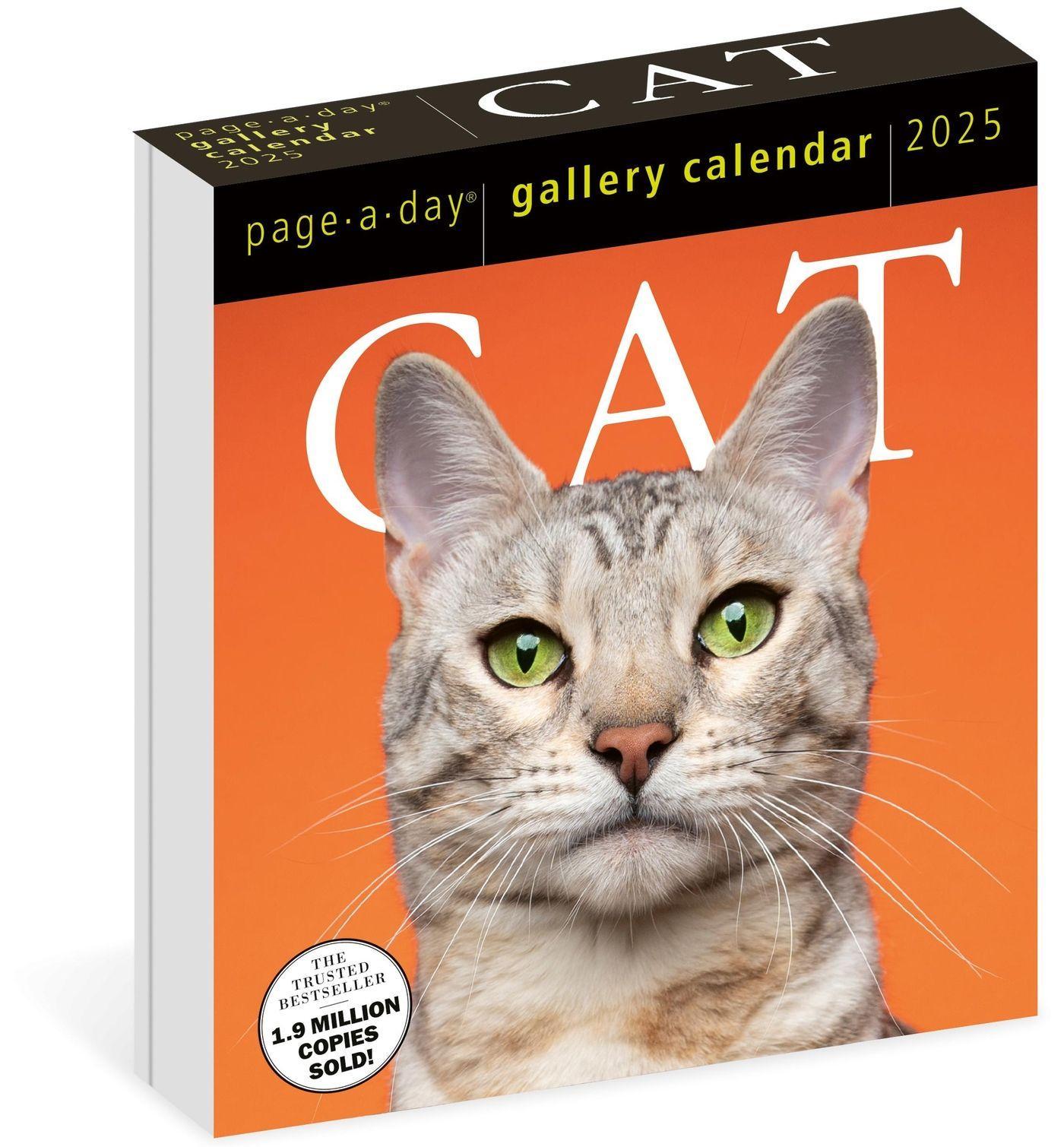 Cover: 9781523524716 | Cat Page-A-Day(r) Gallery Calendar 2025 | Workman Calendars | Kalender