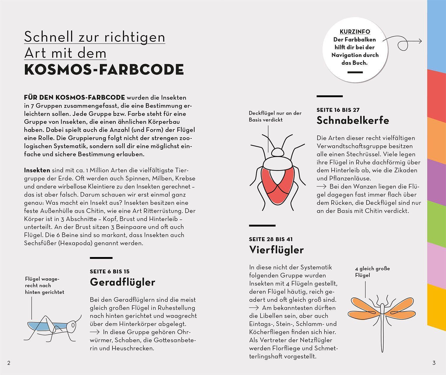 Bild: 9783440173916 | BASIC Insekten | Roland Gerstmeier | Taschenbuch | 128 S. | Deutsch