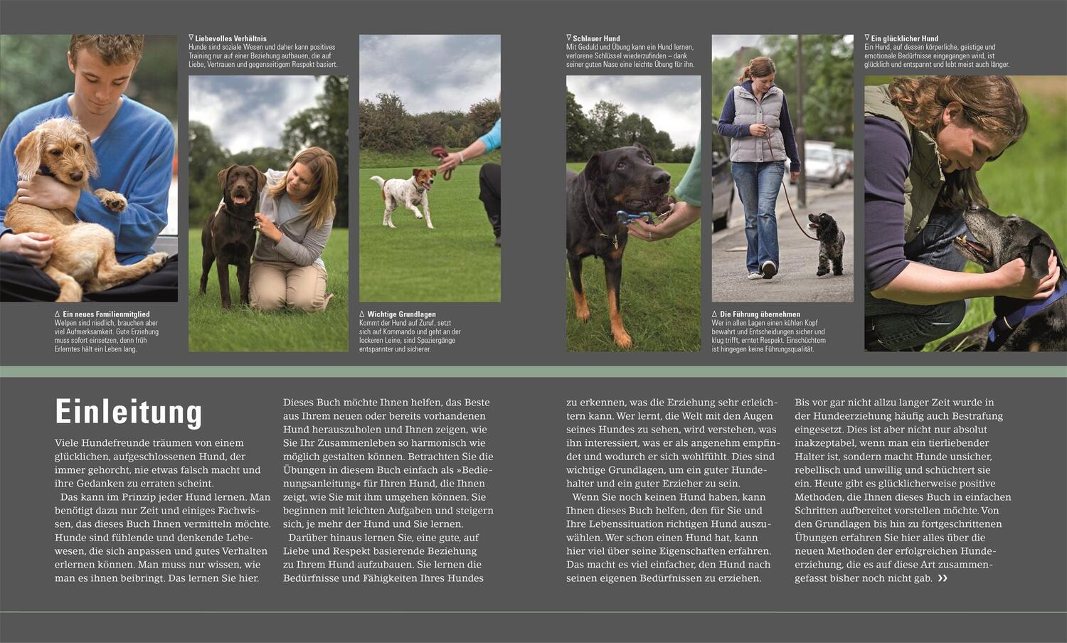 Bild: 9783831045426 | Hundeerziehung ganz einfach | Gwen Bailey | Taschenbuch | 256 S.