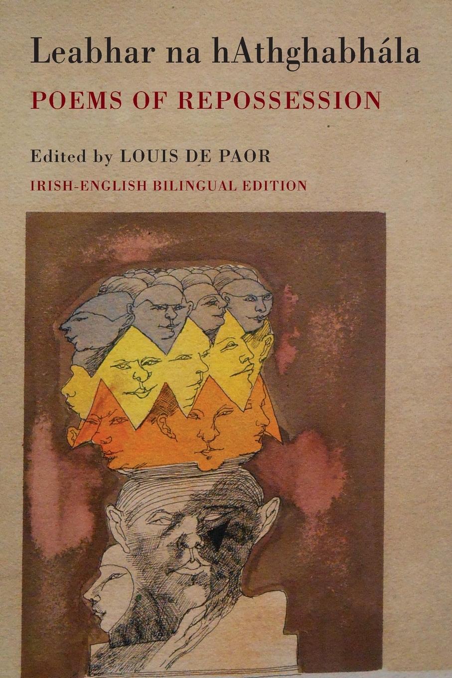 Cover: 9781780372990 | Leabhar Na hAthghabhála | Poems of Repossession | Louis De Paor | Buch