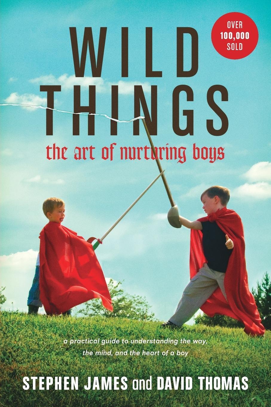 Cover: 9781414322278 | Wild Things | The Art of Nurturing Boys | David Thomas | Taschenbuch