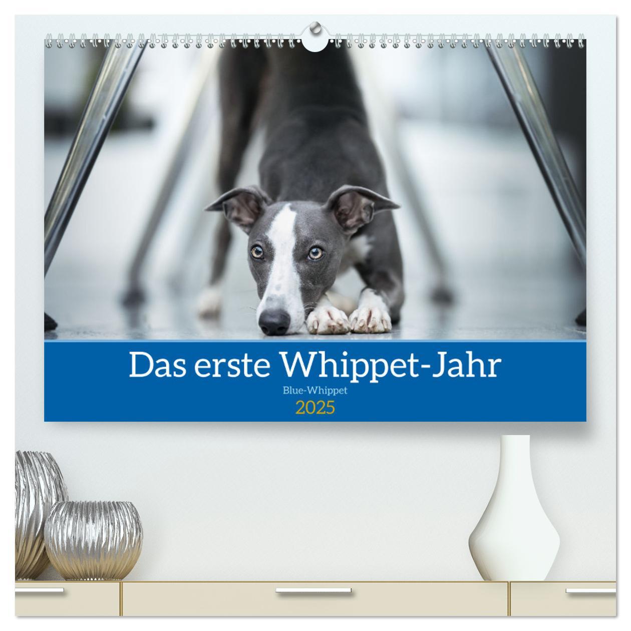 Cover: 9783435032983 | Das erste Whippet-Jahr (hochwertiger Premium Wandkalender 2025 DIN...