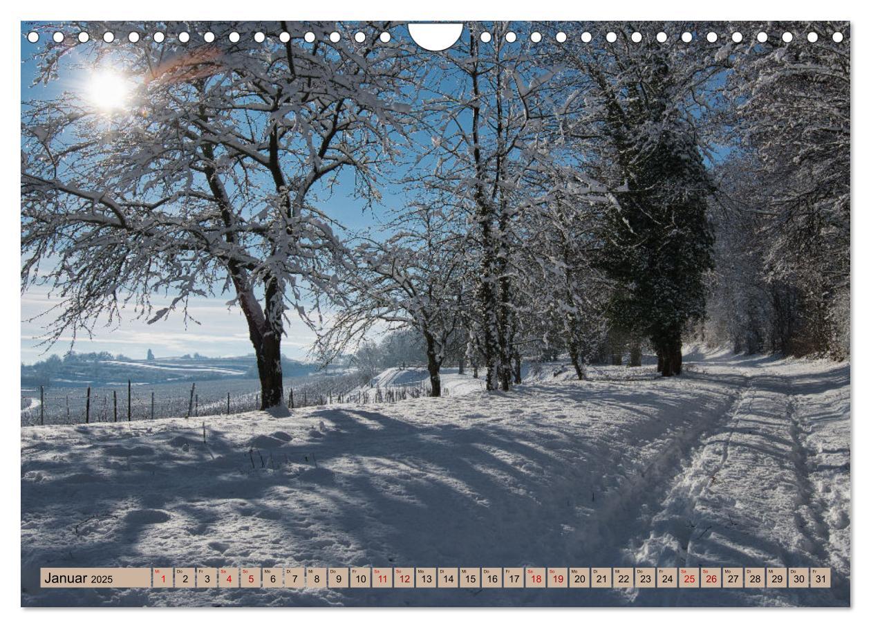 Bild: 9783435036189 | Ortenau - die badische Toskana (Wandkalender 2025 DIN A4 quer),...