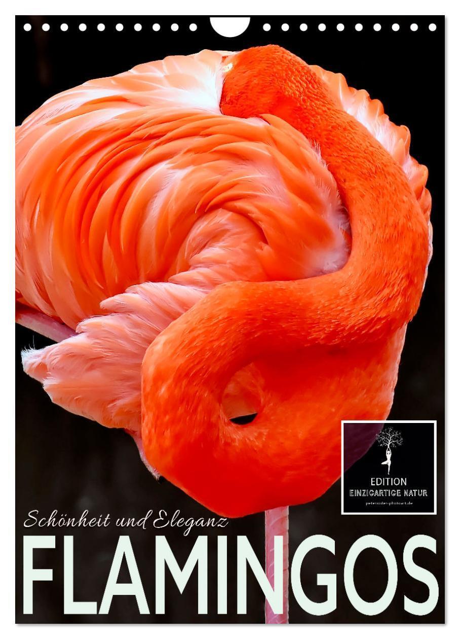 Cover: 9783675511163 | Flamingos - Eleganz und Schönheit (Wandkalender 2024 DIN A4 hoch),...