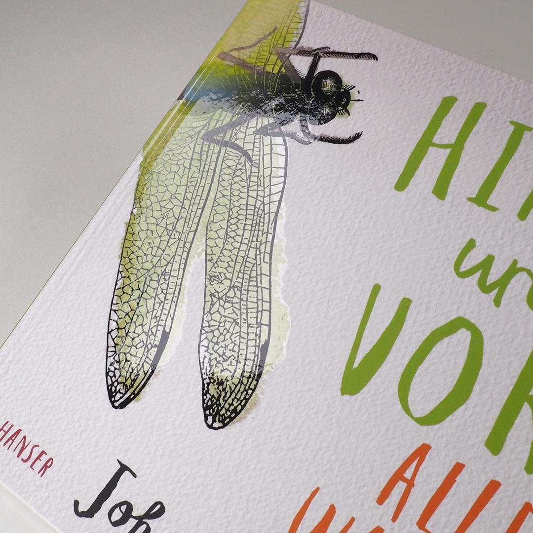 Bild: 9783446262089 | Hinten und vorn - Alles, was krabbelt und fliegt | John Canty | Buch