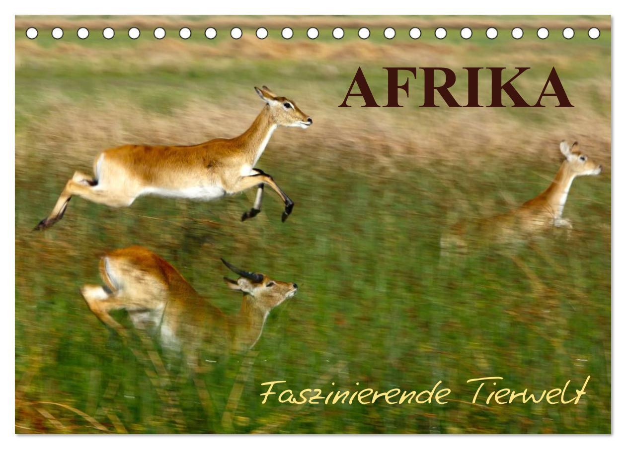 Cover: 9783435669837 | Afrika - Faszinierende Tierwelt (Tischkalender 2025 DIN A5 quer),...