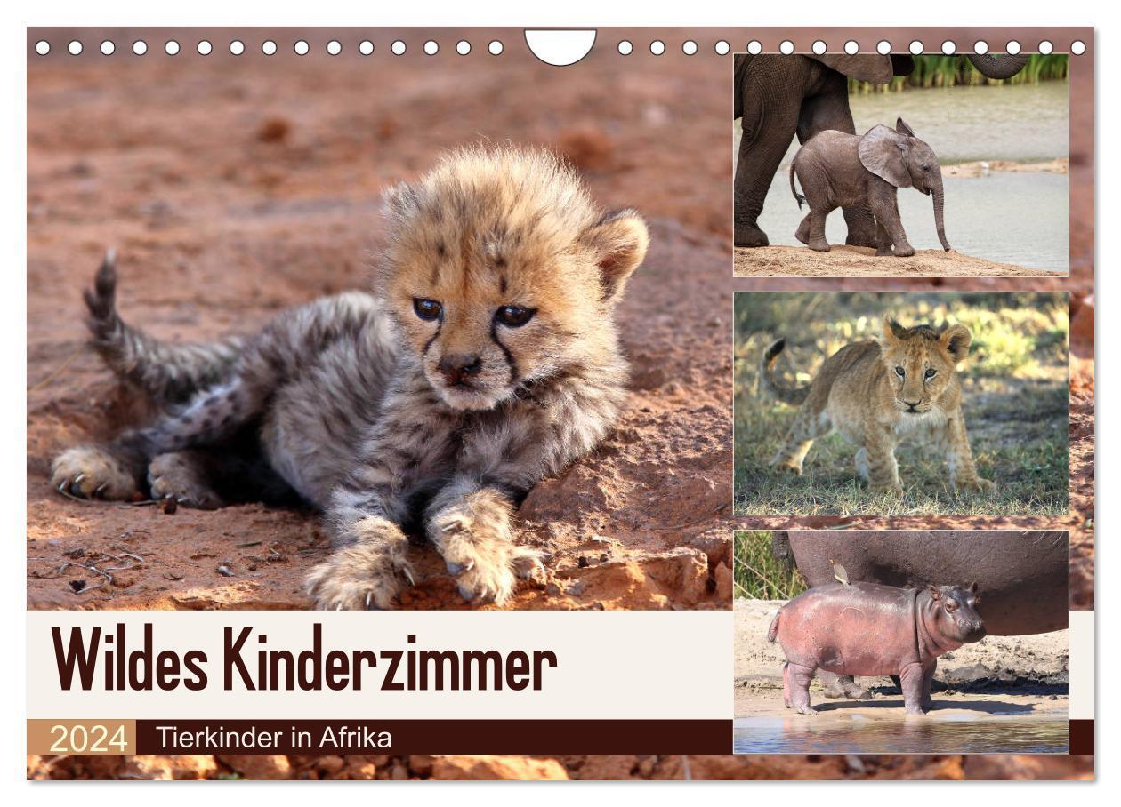 Cover: 9783383474361 | Wildes Kinderzimmer - Tierkinder in Afrika (Wandkalender 2024 DIN...