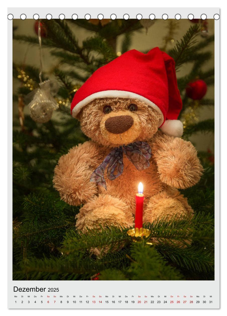 Bild: 9783435984534 | Travelling Teddy in Europa (Tischkalender 2025 DIN A5 hoch),...