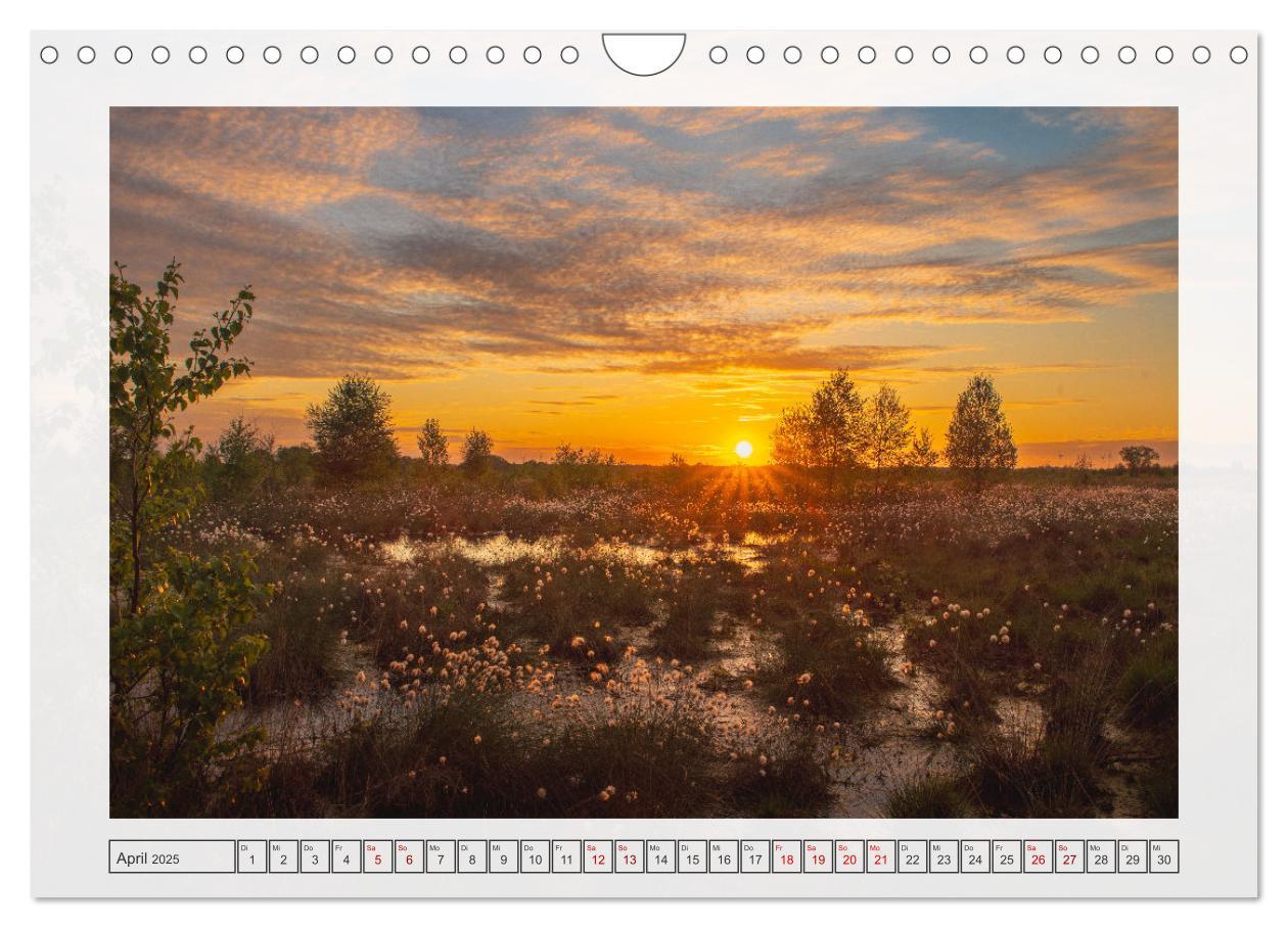 Bild: 9783457243060 | Naturpark Dümmer (Wandkalender 2025 DIN A4 quer), CALVENDO...