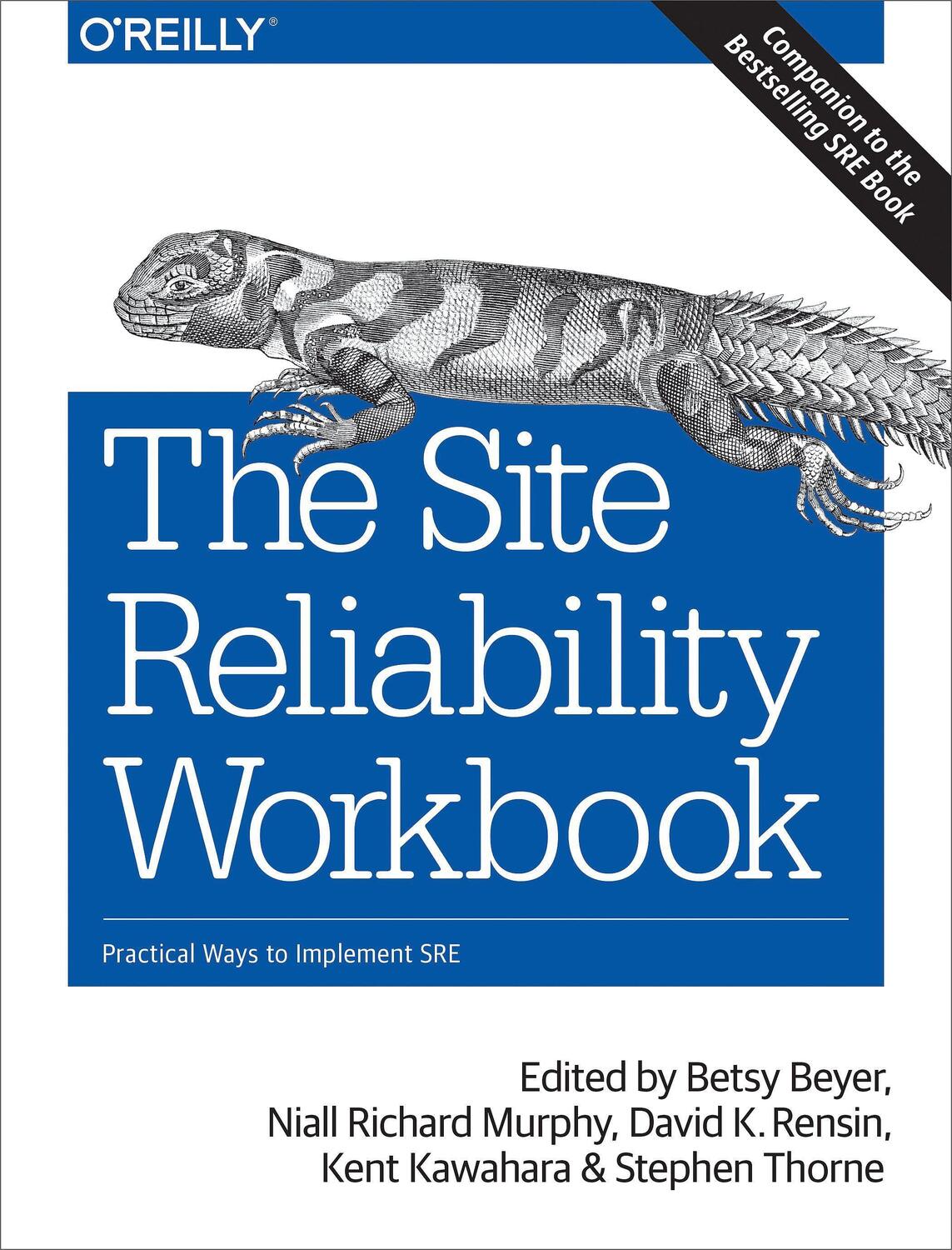 Cover: 9781492029502 | The Site Reliability Workbook | Practical Ways to Implement SRE | Buch
