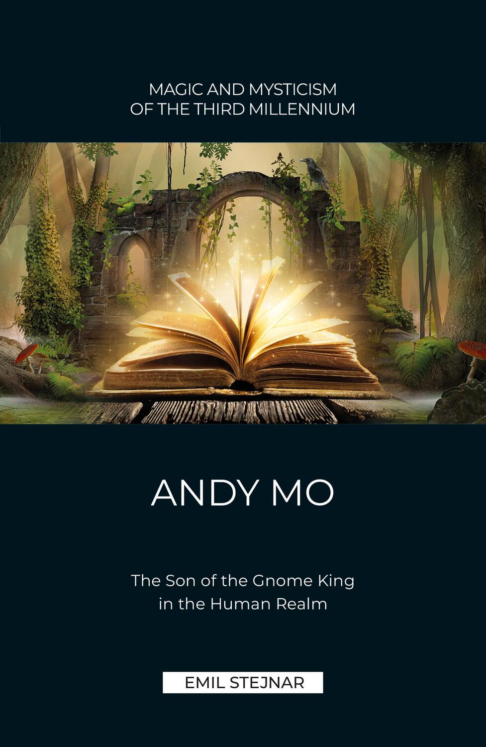 Cover: 9783900721275 | Andy Mo | The Son of the Gnome King in the Human Realm | Emil Stejnar