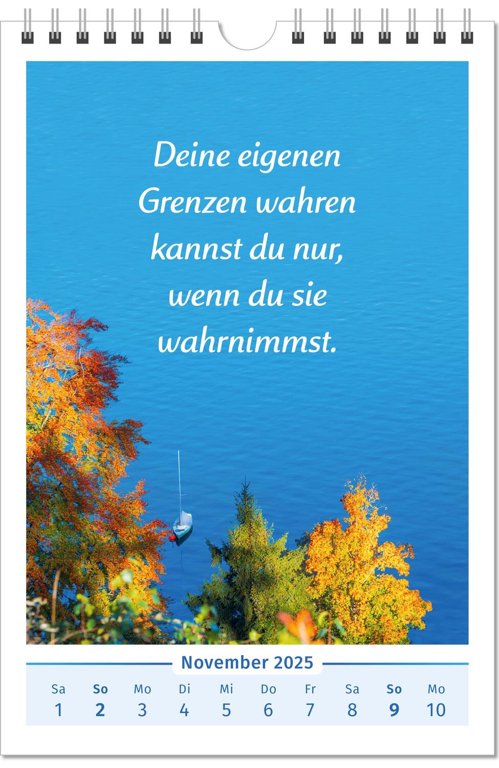 Bild: 9783910294448 | Der Lebensfreude-Kalender 2025 | Doris Wolf (u. a.) | Kalender | 40 S.