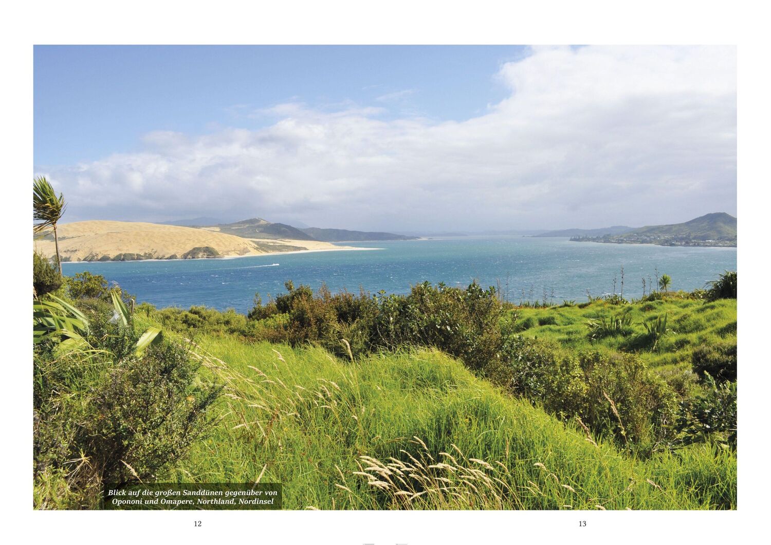 Bild: 9783981322064 | Neuseeland - Land der Maori | Claudia Edelmann | Buch | Deutsch | 2020