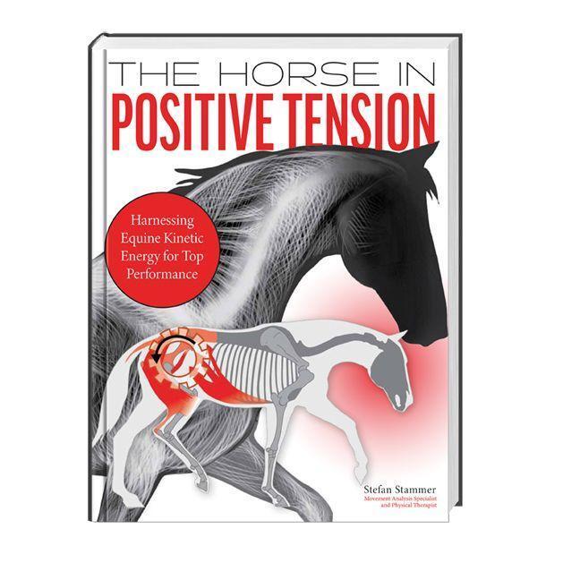 Cover: 9783885426783 | The Horse in Positive Tension | Stefan Stammer | Taschenbuch | Deutsch