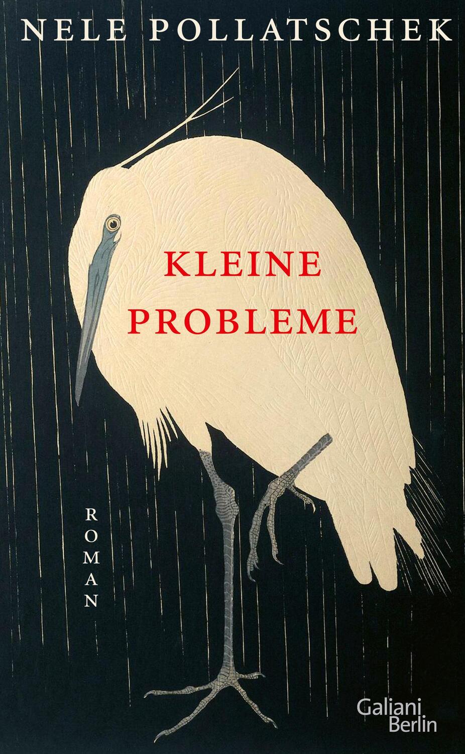 Cover: 9783869712406 | Kleine Probleme | Roman | Nele Pollatschek | Buch | 208 S. | Deutsch