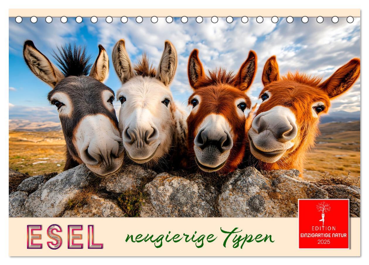 Cover: 9783457215357 | Esel - neugierige Typen (Tischkalender 2025 DIN A5 quer), CALVENDO...